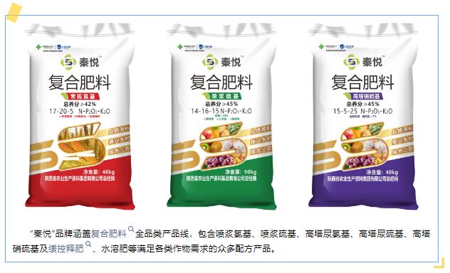 QQ截圖20240704111704.jpg
