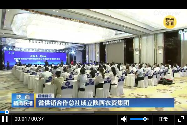 QQ截圖20240705150936.jpg